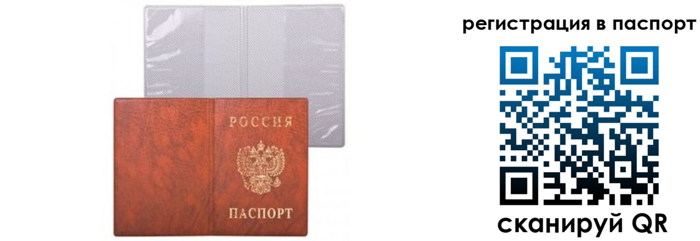прописка ребенка в Пионерском